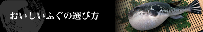 おいしいふぐの選び方