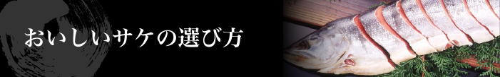 おいしいサケの選び方