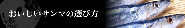 おいしいサンマの選び方