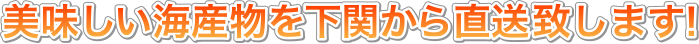 美味しい海産物を下関から直送致します