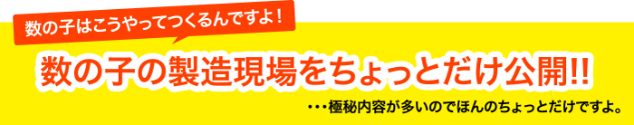 数の子はこうやってつくるんですよ！数の子の製造現場をちょっとだけ公開！！