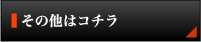 その他はコチラ