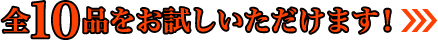 全10品をお試しいただけます！